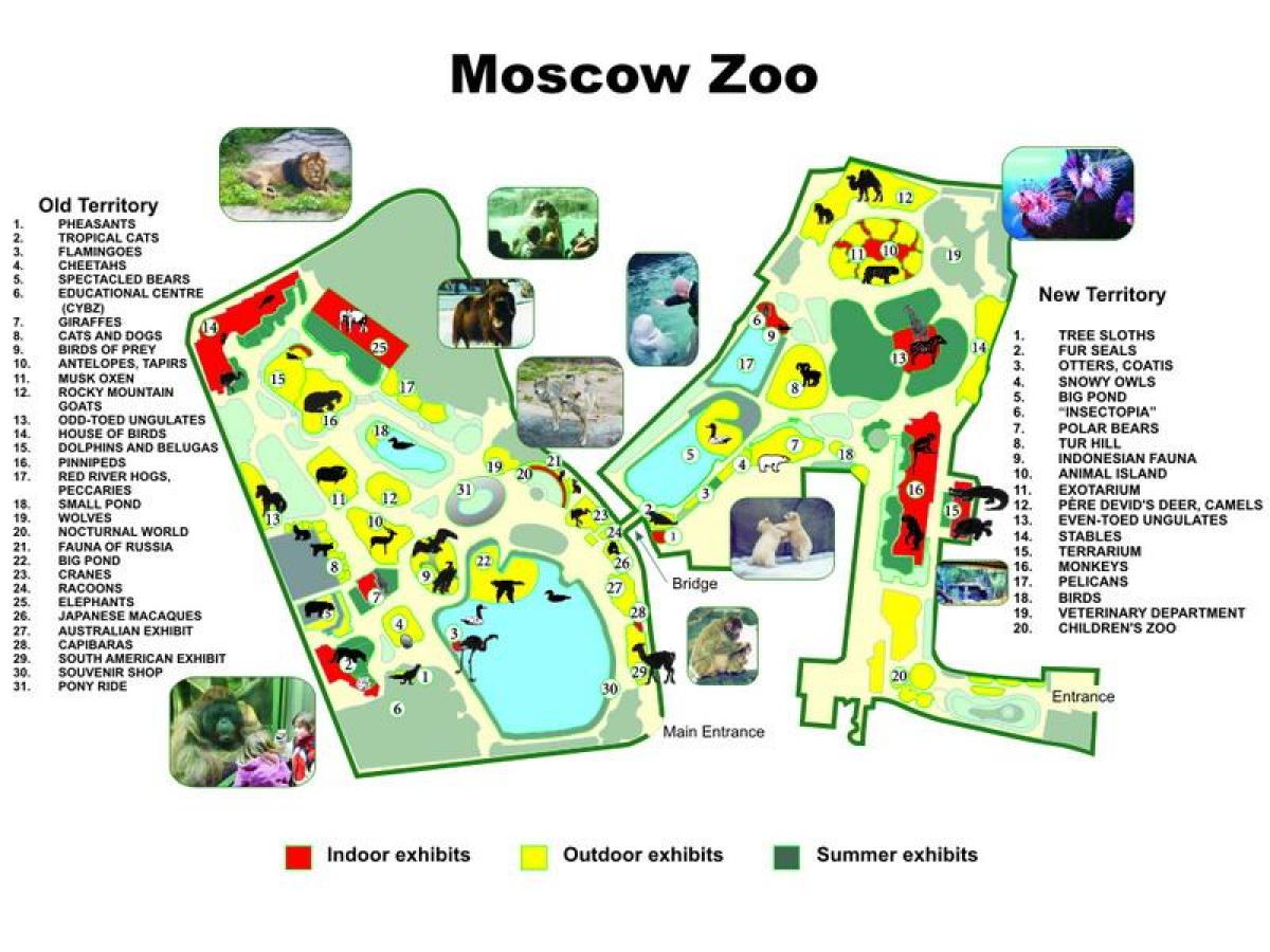 harta e Moskës në kopshtin zoologjik